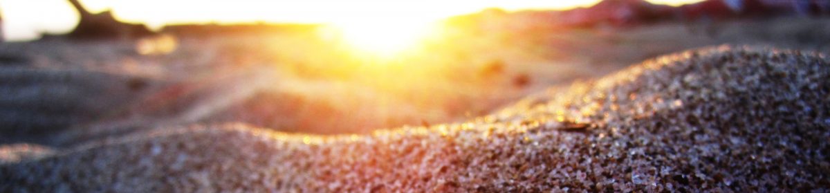 Rachel Anne Redfield